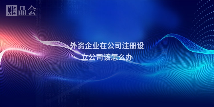 外资企业在公司注册设立公司该怎么办