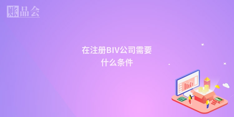 在注册BIV公司需要什么条件