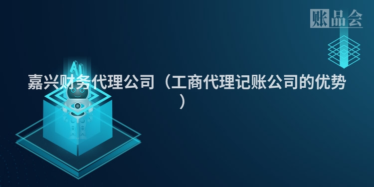 嘉兴财务代理公司（工商代理记账公司的优势）