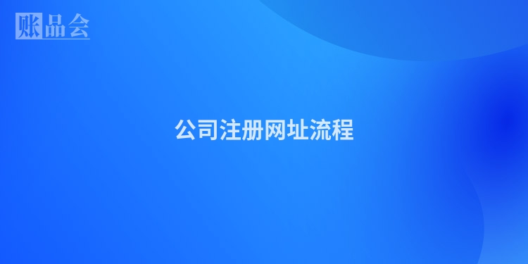 公司注册网址流程