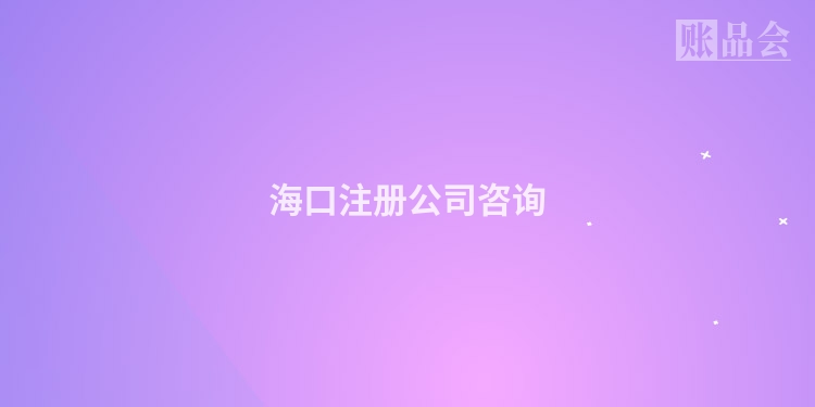 海口注册公司咨询