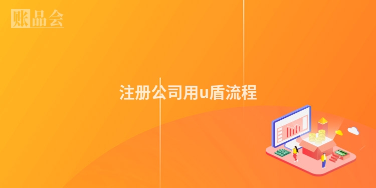 注册公司用u盾流程