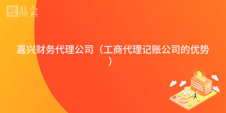 嘉兴财务代理公司（工商代理记账公司的优势）