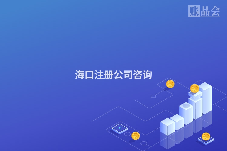 海口注册公司咨询