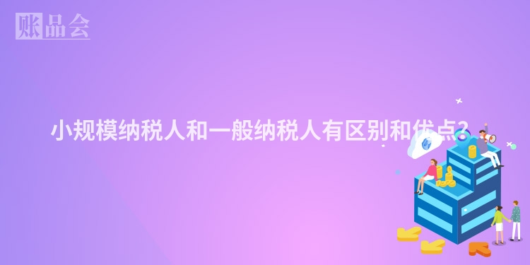 小规模纳税人和一般纳税人有区别和优点？