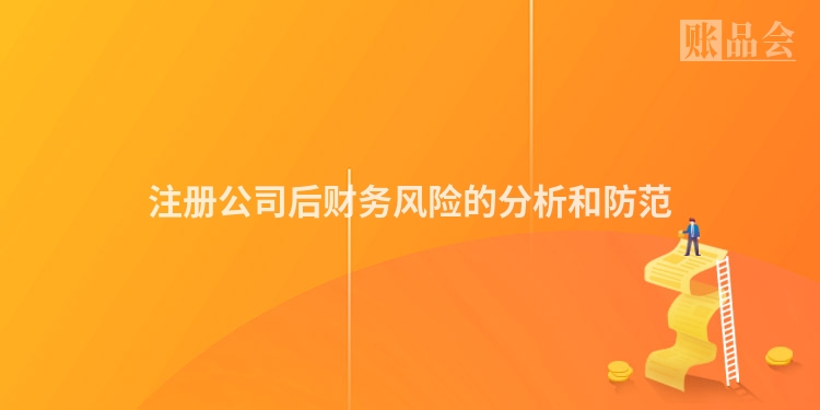 注册公司后财务风险的分析和防范