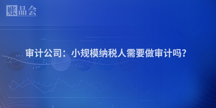 审计公司：小规模纳税人需要做审计吗？